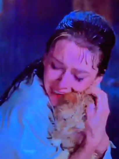 雨の中猫を抱くホリー