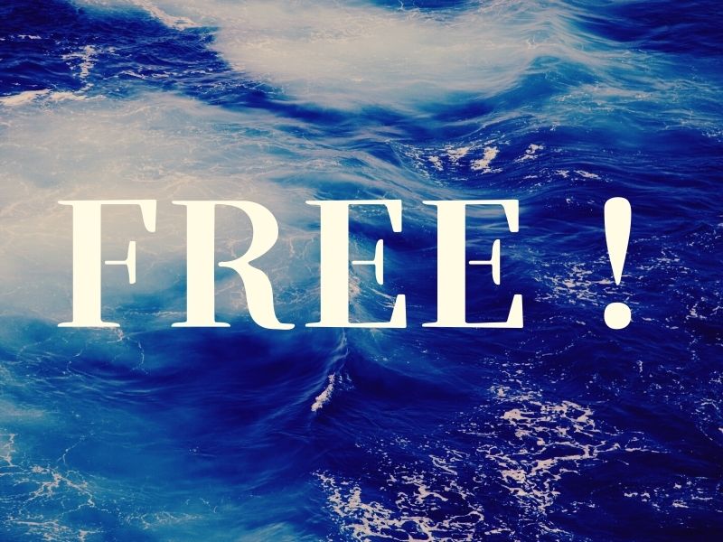 Free！